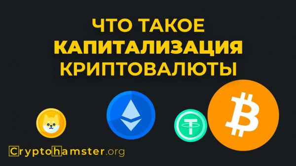Что такое капитализация криптовалюты Что такое капитализация криптовалюты