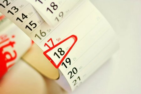 Названы признаки приближения овуляции Названы признаки приближения овуляции
