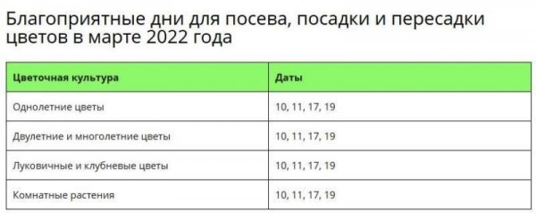 Какую рассаду можно посадить в марте Какую рассаду можно посадить в марте