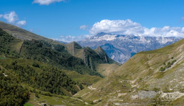 В Дагестане ради привлечения туристов осла спустили на зиплайне В Дагестане ради привлечения туристов осла спустили на зиплайне