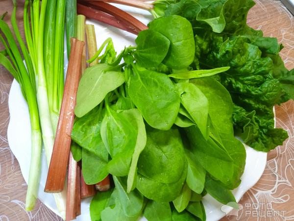 Рецепт: Суп куриный с овощами и зеленью - с ревенем и шпинатом Рецепт: Суп куриный с овощами и зеленью - с ревенем и шпинатом