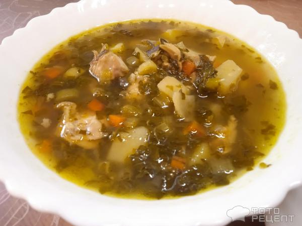 Рецепт: Суп куриный с овощами и зеленью - с ревенем и шпинатом Рецепт: Суп куриный с овощами и зеленью - с ревенем и шпинатом