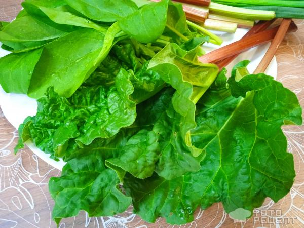Рецепт: Суп куриный с овощами и зеленью - с ревенем и шпинатом Рецепт: Суп куриный с овощами и зеленью - с ревенем и шпинатом
