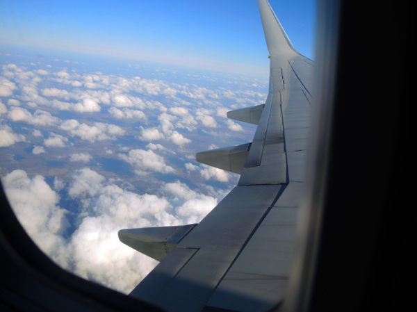 Авиапассажиры призвали к отставке начальника службы воздушного движения из-за «анархии в небе»