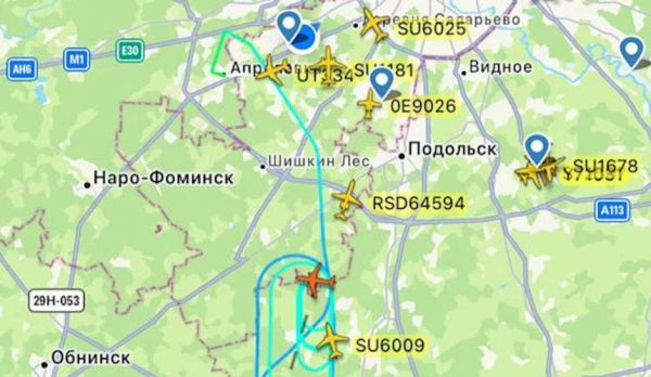 Борт Turkish Airlines не улетел в Анталью из Москвы из-за столкновения с птицами Борт Turkish Airlines не улетел в Анталью из Москвы из-за столкновения с птицами
