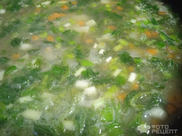 Рецепт: Суп из крапивы - с яйцом, на говяжьем бульоне Рецепт: Суп из крапивы - с яйцом, на говяжьем бульоне