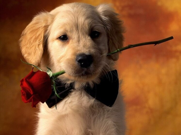 Дни рождения 30 июля