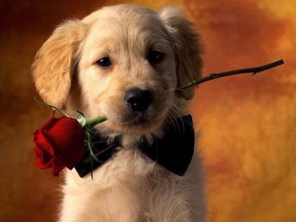 Дни рождения 31 июля