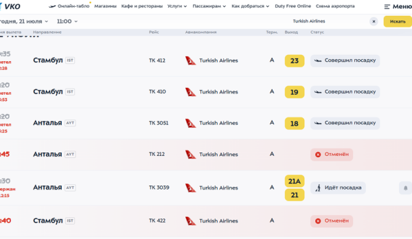 Ночной «ковер» во Внуково прибавил несколько отмен рейсов у Turkish Airlines Ночной «ковер» во Внуково прибавил несколько отмен рейсов у Turkish Airlines