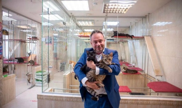 Из блиндажей — на сцену: коты-фронтовики готовятся стать артистами в Театре Куклачева