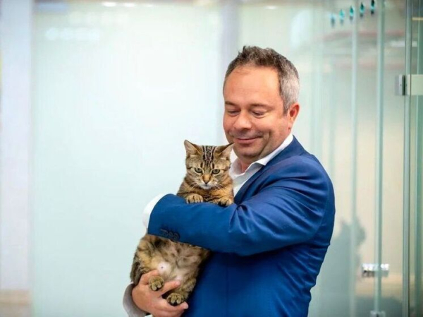 Из блиндажей — на сцену: коты-фронтовики готовятся стать артистами в Театре Куклачева