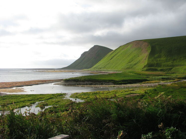 «Мы настроены патриотично»: реакция жителей Командорских островов на предложение продать их за 15 миллионов