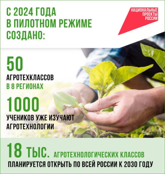 От школьной парты до агропредприятия: как в России готовят новое поколение кадров для АПК