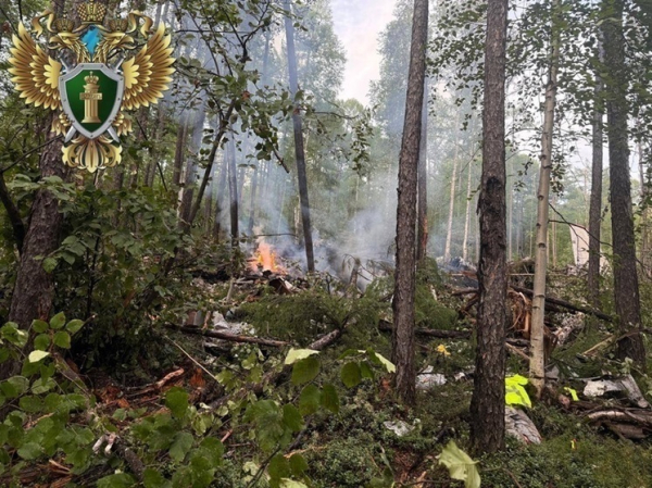 Режим ЧС в Амурской области отменен после завершения работ на месте крушения Ан-24