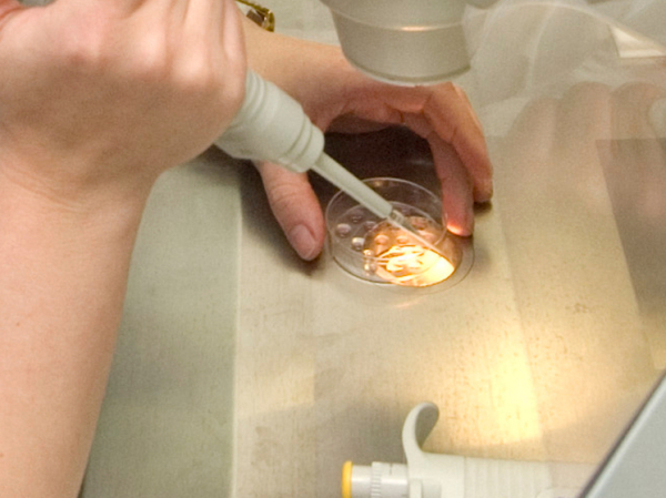 Сибиряки разработали вещества, «лечащие» человеческие бактерии лучше всех в мире