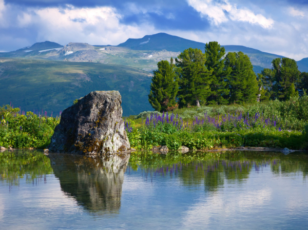 Спасти не удалось: юные брат и сестра утонули на известном курорте