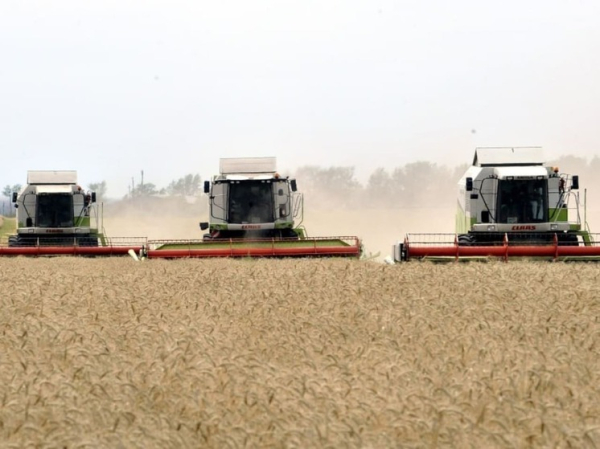 Урожай-25 продадут агроагрегаторы