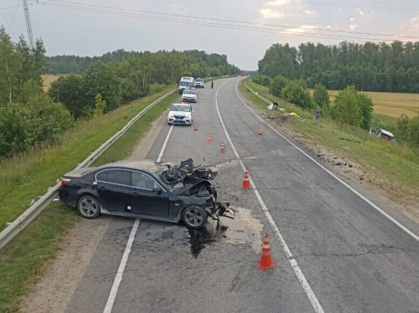 Выяснились подробности смертельной аварии в Подмосковье, в которую попал микроавтобус с детьми
