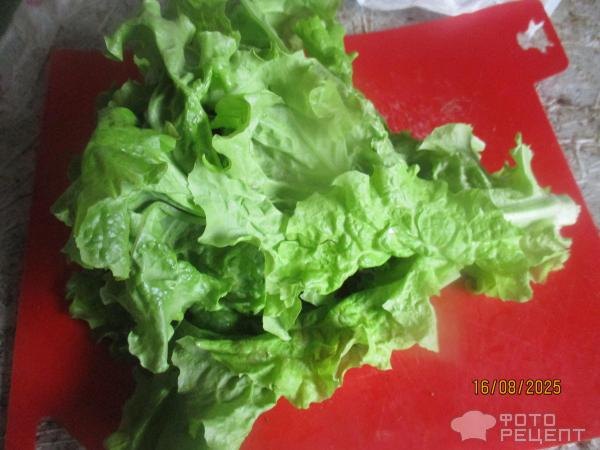 Рецепт: Мясо тушеное с зеленью - типа "сябзи говурма" Рецепт: Мясо тушеное с зеленью - типа "сябзи говурма"