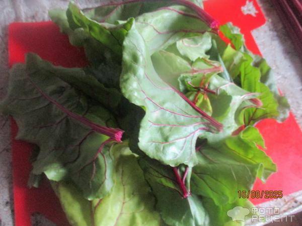 Рецепт: Мясо тушеное с зеленью - типа "сябзи говурма" Рецепт: Мясо тушеное с зеленью - типа "сябзи говурма"