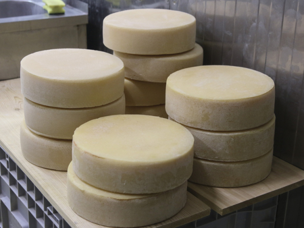 Десятки людей заболели: два человека скончались после употребления французского сыра