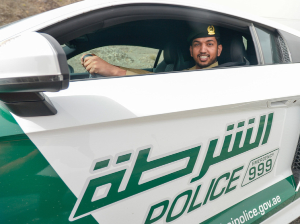 Дубайская полиция за 8 часов вернула «Розовую пантеру» стоимостью в десятки миллионов долларов