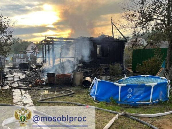 Двое малышей погибли в пожаре частном доме в подмосковном Клину