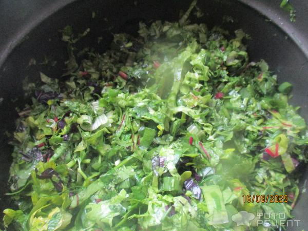 Рецепт: Мясо тушеное с зеленью - типа "сябзи говурма" Рецепт: Мясо тушеное с зеленью - типа "сябзи говурма"