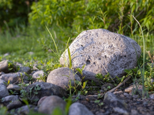 Обычная подпорка для двери оказалась янтарным самородком стоимостью более миллиона долларов