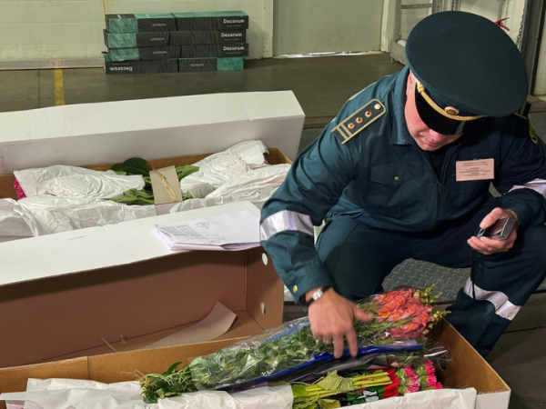 Таможенники рассказали, как безопасно выбрать цветы к 1 сентября