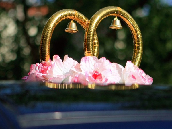 Вышла замуж ради выплат: в Рязани аннулировали очередной «скоропостижный» брак бойца СВО