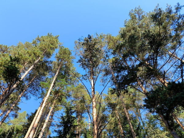 17 сентября 2025: что можно, а что нельзя делать