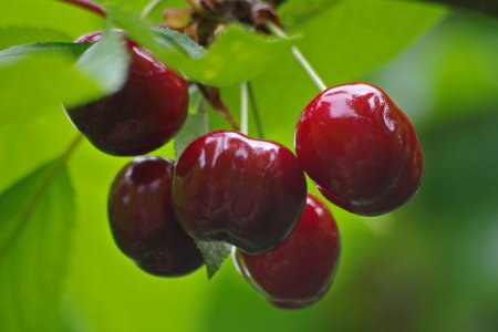 Диетолог Соломатина назвала продукты, которые вызывают усталость Диетолог Соломатина назвала продукты, которые вызывают усталость