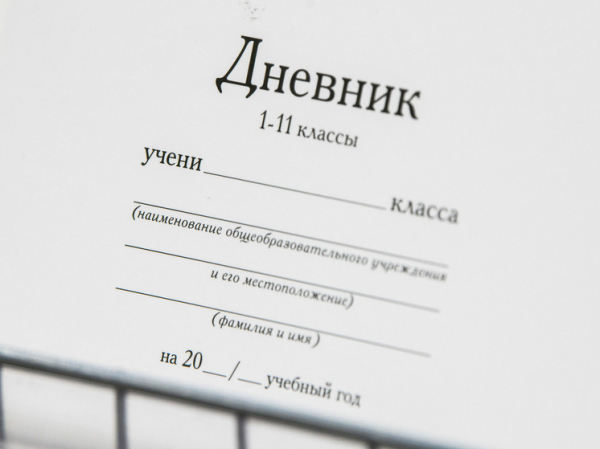 Автопроверка ДЗ, вспомогательная дистанционка или портфолио с ИИ: какой будет цифровизации в школе