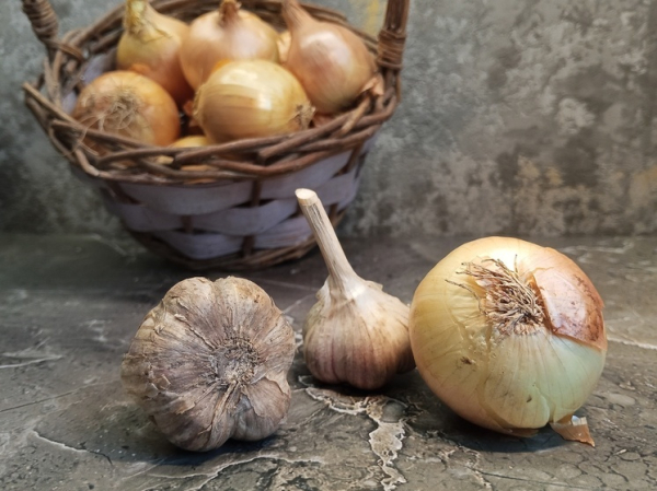 Что делать из лука