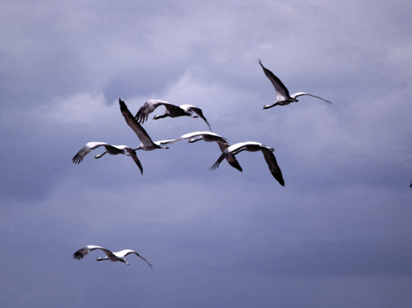 Что можно, а что нельзя делать 13 сентября: традиции Куприянова дня