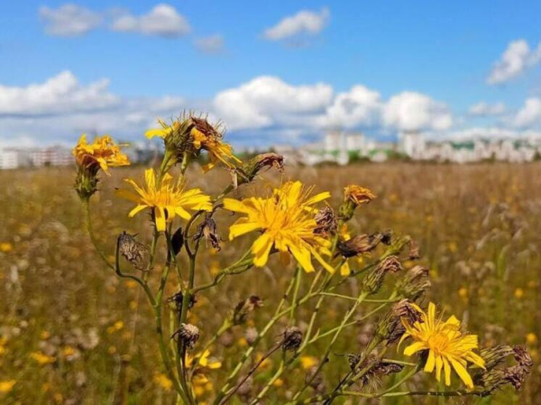 Что можно, а что нельзя делать 14 сентября: традиции Семёнова дня и Церковного новолетия