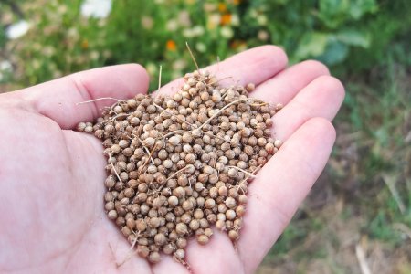 Врач-диетолог Дюваль назвала продукты для хорошей памяти после 65 лет Врач-диетолог Дюваль назвала продукты для хорошей памяти после 65 лет
