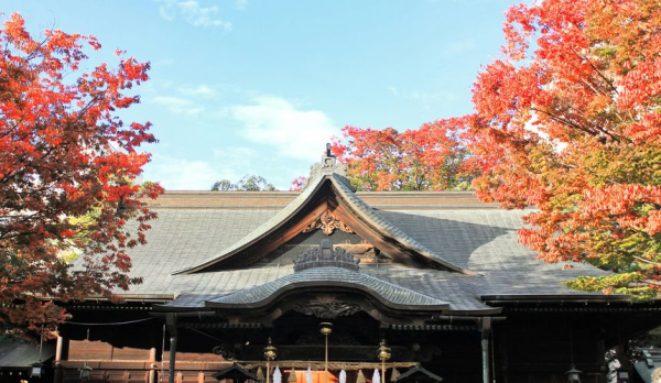 Туристы выстаивают очереди за японской визой по 6 часов