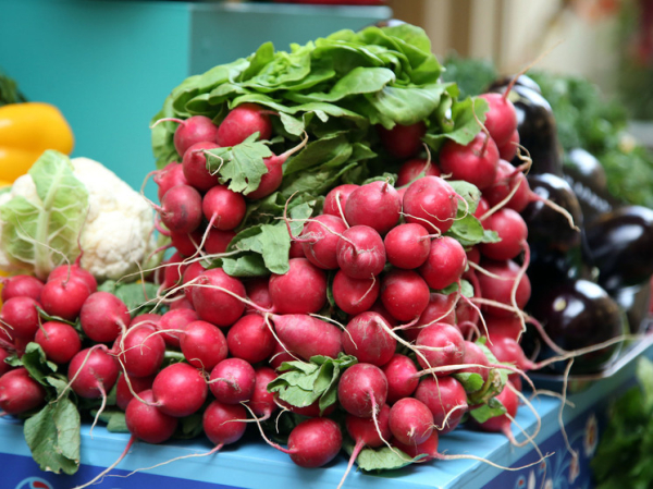 Эксперт рассказал, что произойдет с ценами на зерновые и овощи из-за засухи