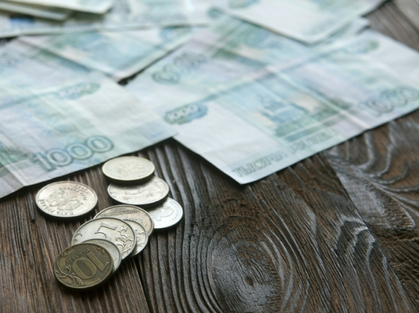 Эксперт развенчала миф относительно применения цифрового рубля