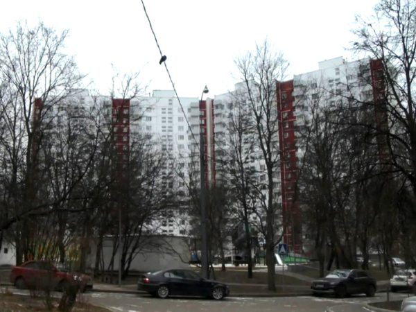 «Еще три миллиона»: пострадавшая от мошенников вдова Пучиняна снова потеряет деньги