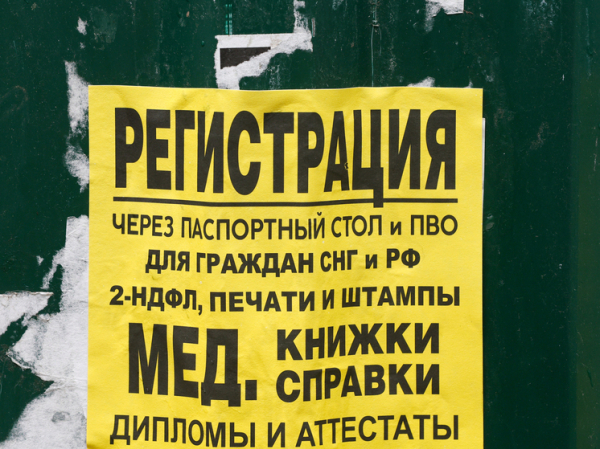 ФСБ задержала в Петербурге аферистов, торговавших липовыми справками для бойцов СВО
