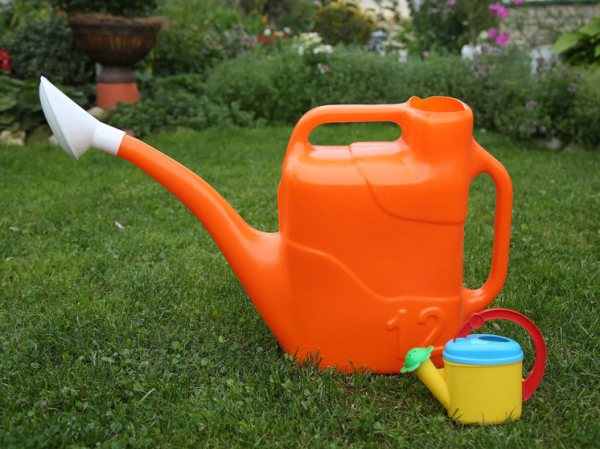 Гиганты и карлики: как обычному дачнику добиться от сада невиданных результатов