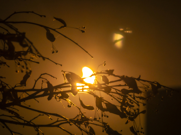 Гороскоп для всех знаков зодиака на 15 сентября 2025 года