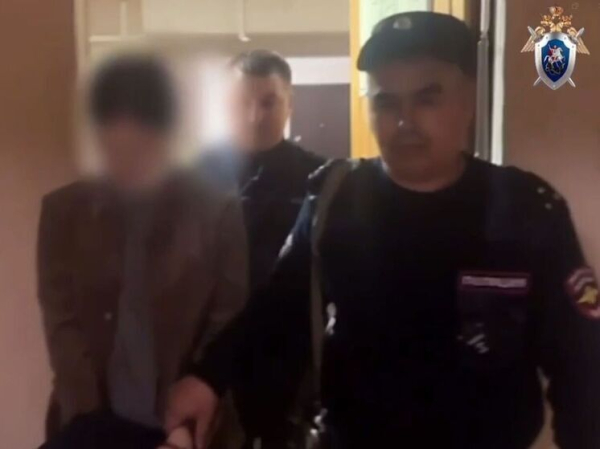 «Канская мама», зарубившая детей топором, признана невменяемой