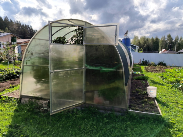 Лунный календарь садовода-огородника: Что делать на даче 16 сентября 2025 года