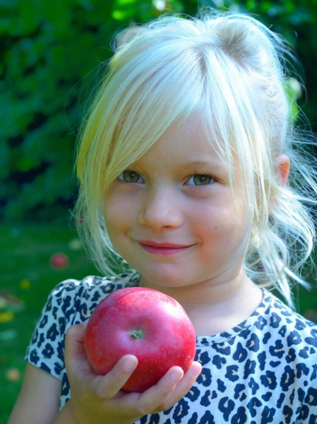 Лунный календарь садовода-огородника: Что делать на даче 17 сентября 2025 года