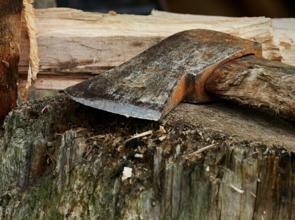 Маньячку с топором задержали после нападения на спящего молодого человека