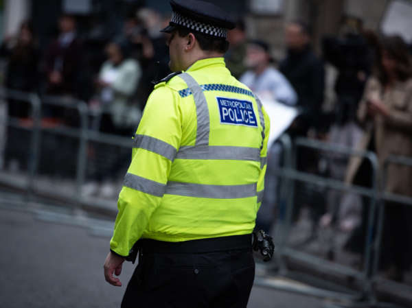 Мужчина арестован за изнасилование молодой женщины “на расовой почве”